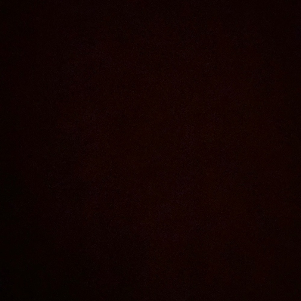 Meet your Posher, Shane